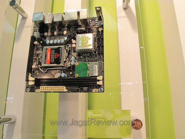 20100603_manli008 IMG 0319