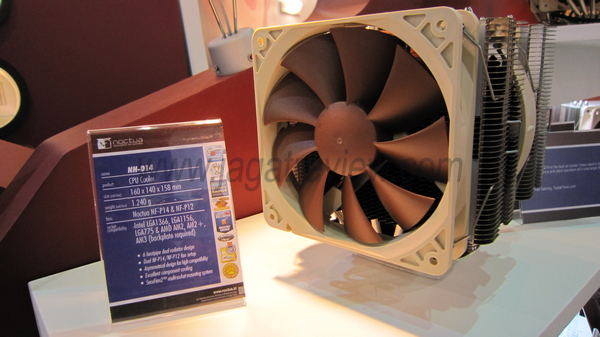 IMG_0828_R IMG 0828 R