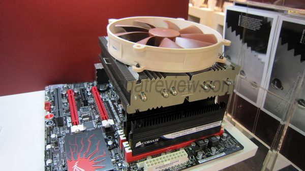 IMG_0831_R IMG 0831 R