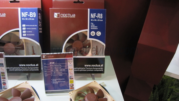 IMG_0833_R IMG 0833 R