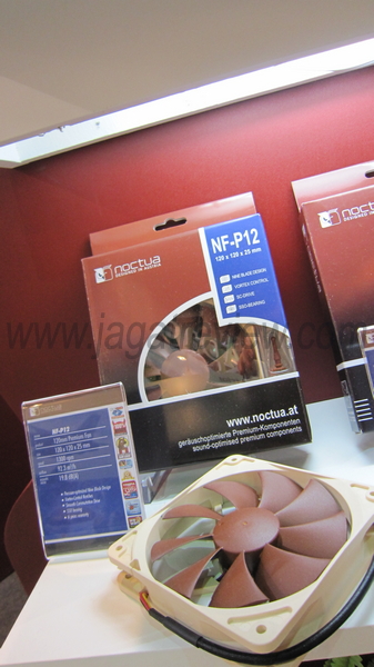 IMG_0834_R IMG 0834 R