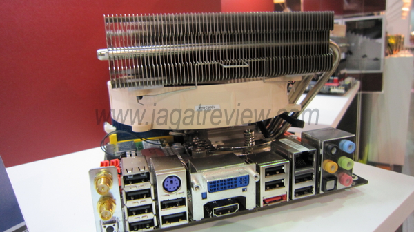 IMG_0844_R IMG 0844 R