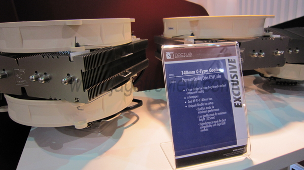 IMG_0847_R IMG 0847 R