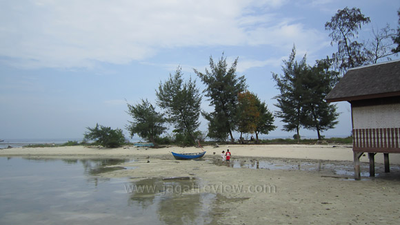 Ixus210 (10) Darker Skintone Ixus210 10 Darker Skintone