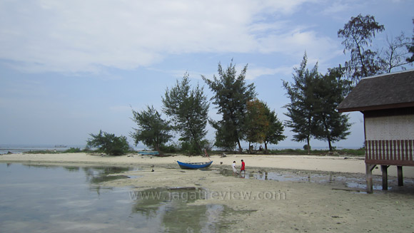 Ixus210 (13) Vivid Green Ixus210 13 Vivid Green