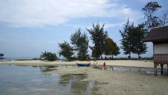 Ixus210 (2) Vivid Ixus210 2 Vivid