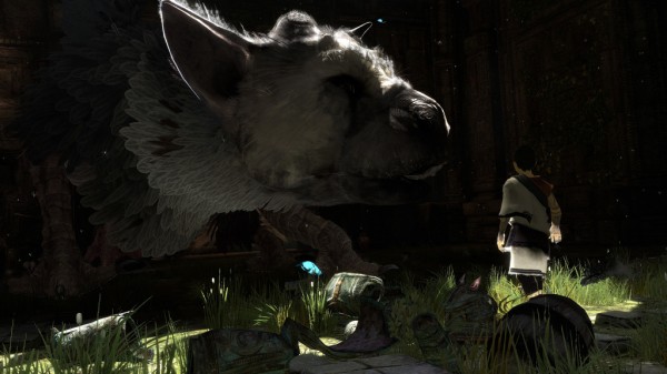 The Last Guardian The Last Guardian
