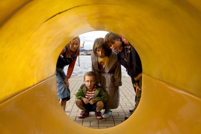 Magdrzewo1 Magdrzewo1