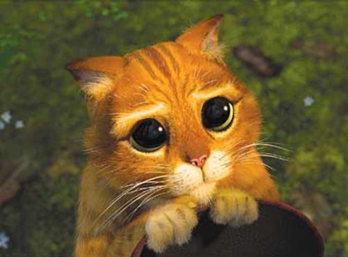 Mainan Bukan Lagi Trend Hadiah Natal 4 pretty please eyes