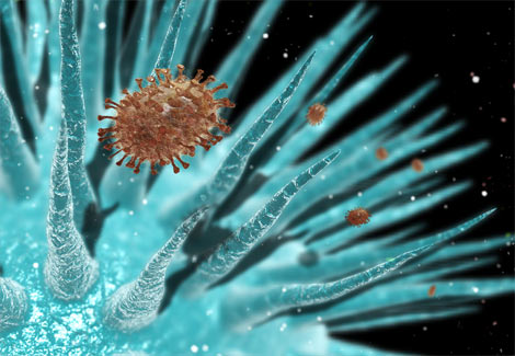 Handset Touch-Screen Berpotensi Menularkan Penyakit 11 virus flu