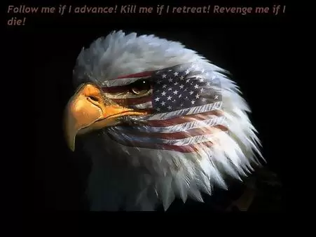 Situs Apa yang Paling Sering Dikunjungi di Amerika Serikat? 6 american eagle