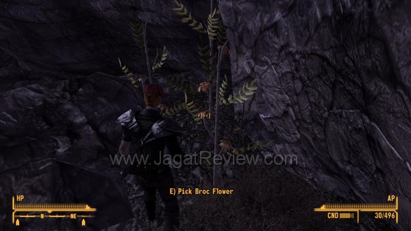 fallout_new_vegas_008 fallout new vegas 008