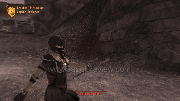 fallout new vegas 009