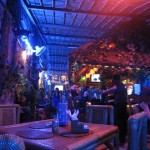 IMG_7294 IMG 7294