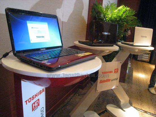 IMG_2828 IMG 2828