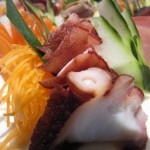 octopus sashimi octopus sashimi
