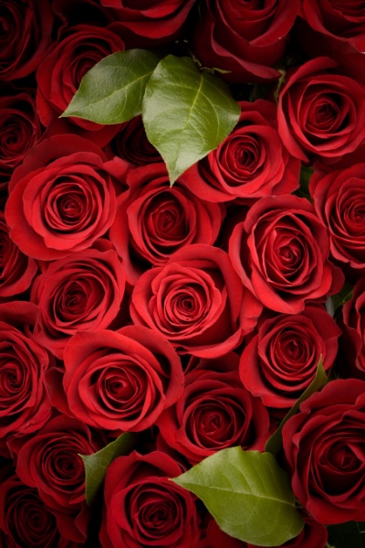 Rayakan Valentine’s Day dengan Special Package di Yoshi Izakaya 2 Valentines Day at Yoshi Izakaya