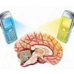 brain cancer and phone