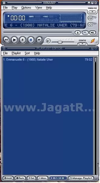 WinAmp: Tidak Hanya Sekadar Music Player 9 pict2 R