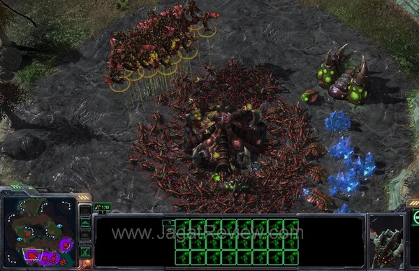 playhard starcraft 2