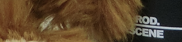 CIMG0767 EX H20G ISO 80