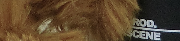 CIMG0768 EX H20G ISO 100