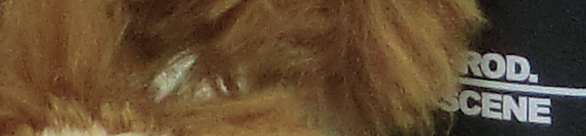 CIMG0769 EX H20G ISO 200