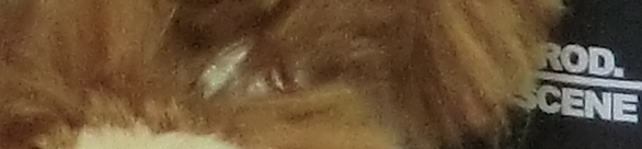 CIMG0770 EX H20G ISO 400