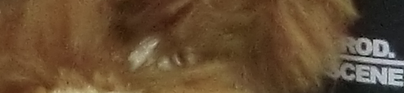 CIMG0771 EX H20G ISO 800