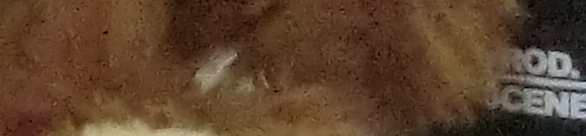 CIMG0772 EX H20G ISO 1600