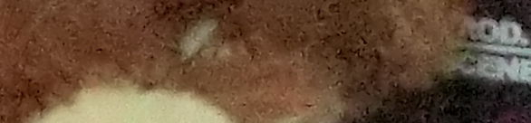 CIMG0773 EX H20G ISO 3200