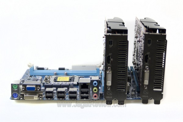 Clearance_Back Clearance Back1