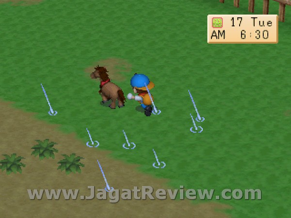 Harvest Moon BTN 101