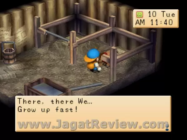 Harvest Moon BTN (78) Harvest Moon BTN 78