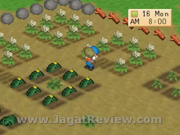 Harvest Moon BTN (97) Harvest Moon BTN 97