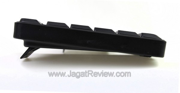 elephant typist g.space feet