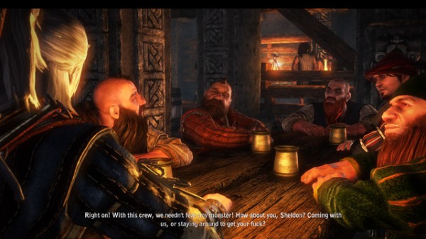 witcher 2 in game2