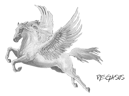 Asus Computer: Dari Kuda Terbang Menjadi Raksasa Komputer 1 pegasus