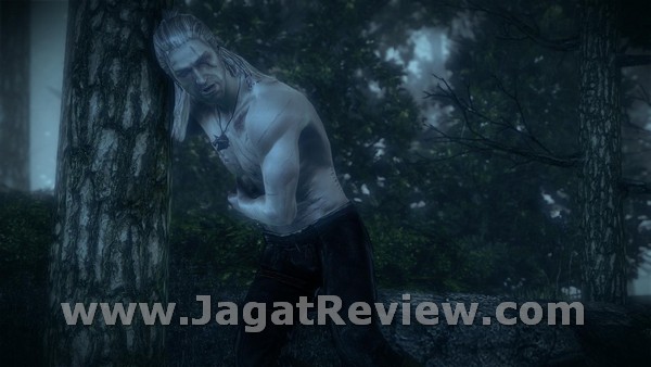 witcher2 2011-05-24 18-39-46-43 witcher2 2011 05 24 18 39 46 43