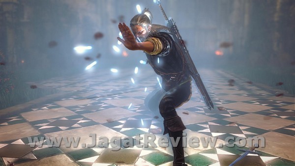 witcher2 2011 05 27 02 35 43 38