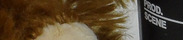 SAM 0004 VLUU SH100 SAMSUNG SH100 ISO 80