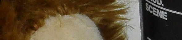 SAM 0005 VLUU SH100 SAMSUNG SH100 ISO 100