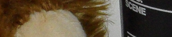 SAM 0006 VLUU SH100 SAMSUNG SH100 ISO 200