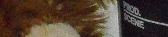 SAM 0008 VLUU SH100 SAMSUNG SH100 ISO 800