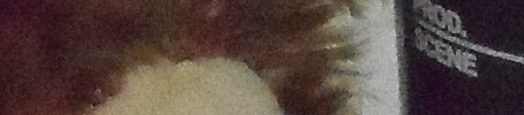 SAM 0009 VLUU SH100 SAMSUNG SH100 ISO 1600