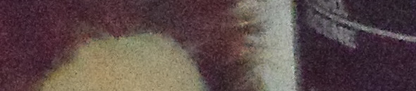 SAM 0010 VLUU SH100 SAMSUNG SH100 ISO 3200