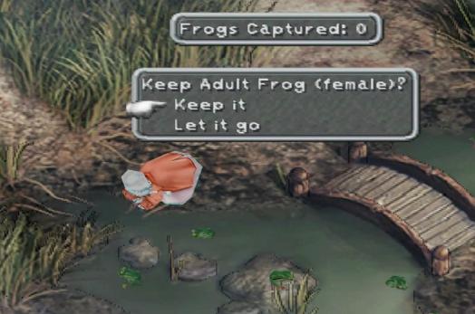 frog capture frog capture