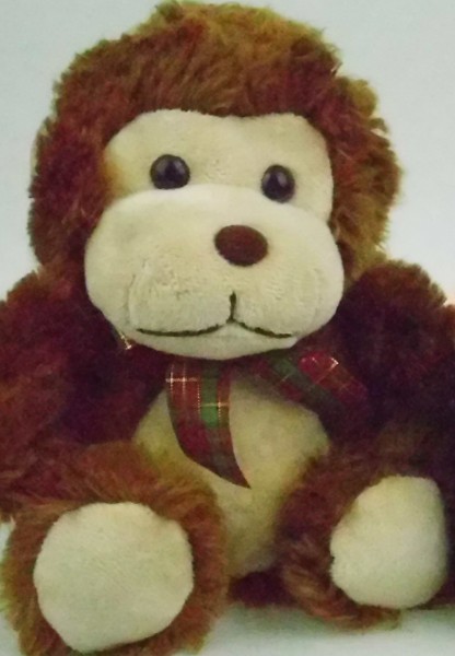 IMG 0009 DC E1460 ISO 3200 2