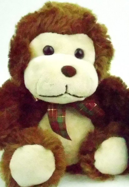 IMG 0011 DC E1460 ISO 6400 2