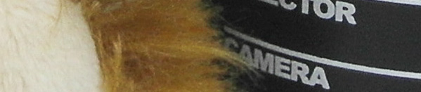 SAM 0767 ST700 ISO 100